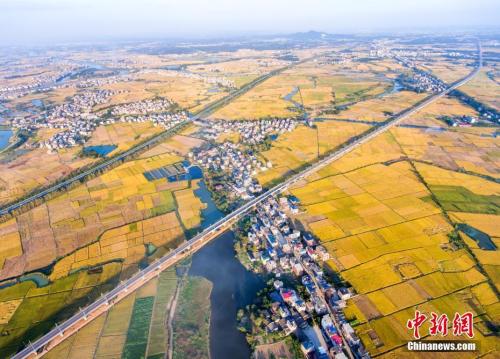 資料圖：航拍通過江西都昌縣金秋田野上的九景衢鐵路。 傅建斌 攝