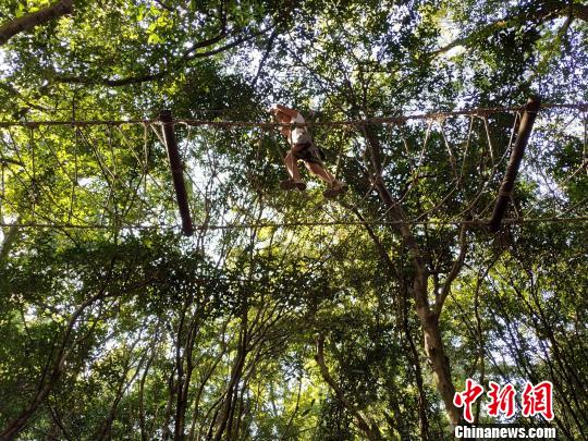 10月2日，桂林兒童在七星景區(qū)體驗戶外運(yùn)動“冒險樹”?！W惠蘭 攝