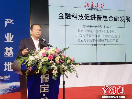 圖為北京大學(xué)經(jīng)濟(jì)學(xué)院教授曹和平在作“金融科技促進(jìn)普惠金融發(fā)展”主題演講?！⌒烨擅?攝