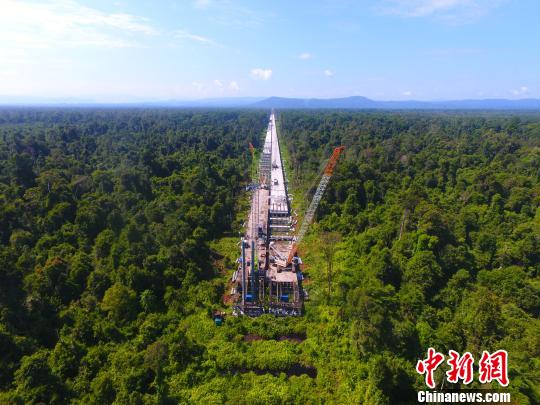 俯拍建設(shè)中的大橋。(中建六局供圖) 鐘欣 攝