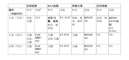 錯誤的對待方法才是導致狂犬病發(fā)最主要的原因