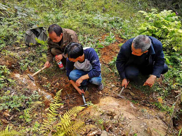 陜西地礦集團漢中地質(zhì)大隊積極推進柳樹灣銅礦詳查項目