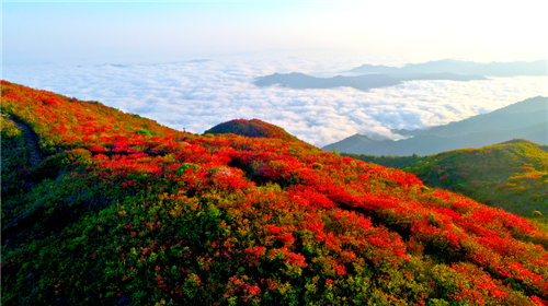 大圍山國家森林公園