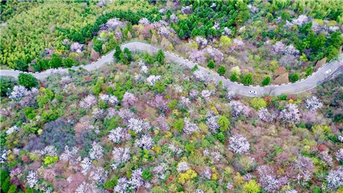 大圍山國家森林公園