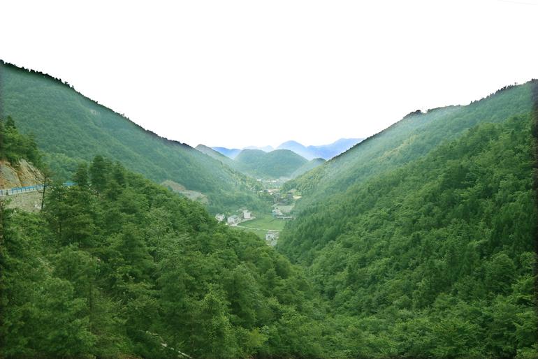 重慶巫山大埡森林茂密康養(yǎng)勝地