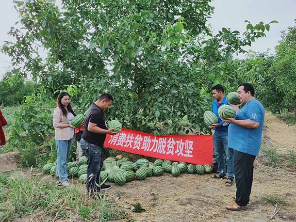 新疆：喀什公路管理局巴楚分局消費扶貧助力脫貧攻堅